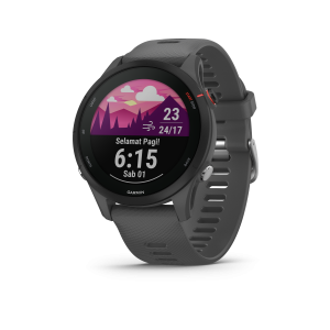 Garmin Forerunner 255 Slate Gray